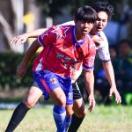 ทฤษฎี ปัญญาจิตกร