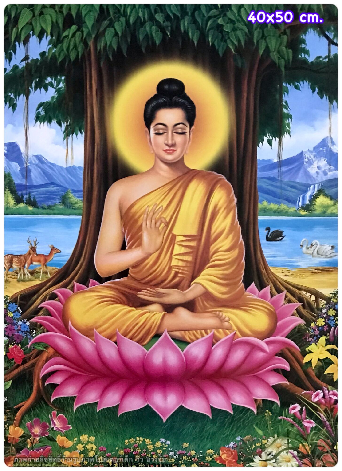 สังคมศึกษา ม.2